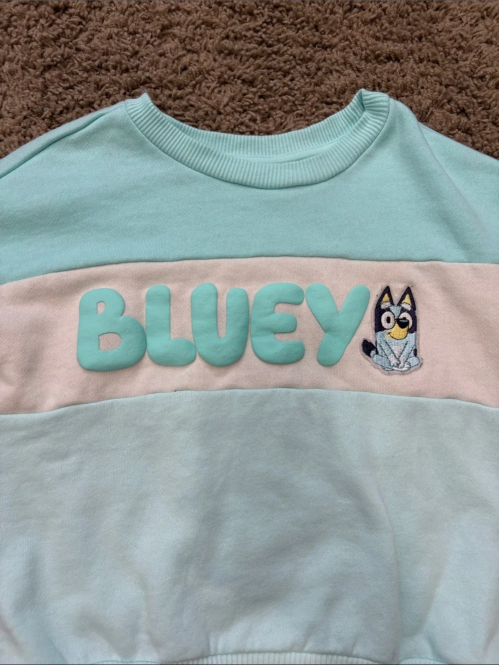 Disney Aqua & Cream Bluey Colorblock Kids Sweatshirt